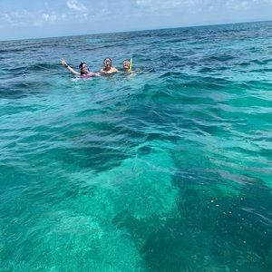 Meet your Posher, Taylor